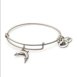 Alex and Ani dolphin charm bracelet